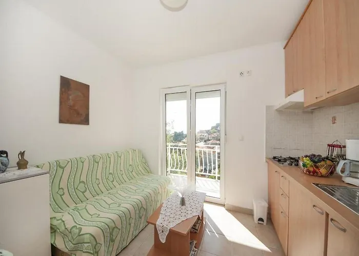 Bertie's - One Bedroom With Terrace And Sea View A2 公寓 Smokvica (Korcula)