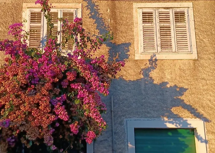 公寓 Bertie's - One Bedroom With Terrace And Sea View A2 Smokvica (Korcula)