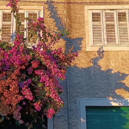 Lejlighed Bertie's - One Bedroom With Terrace And Sea View A2 Smokvica (Korcula)